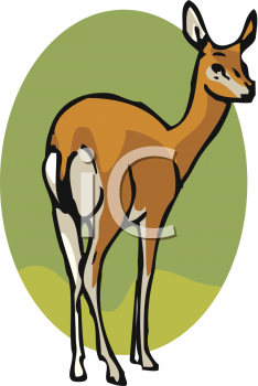 Antelope Clipart