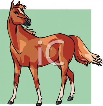 Horse Clipart