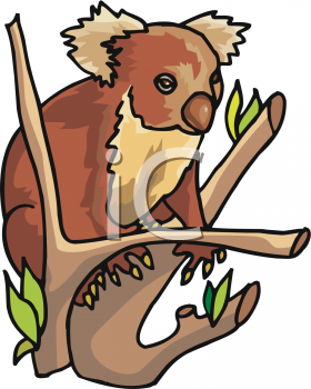 Marsupial Clipart