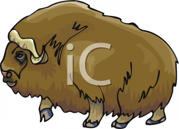 Mammal Clipart
