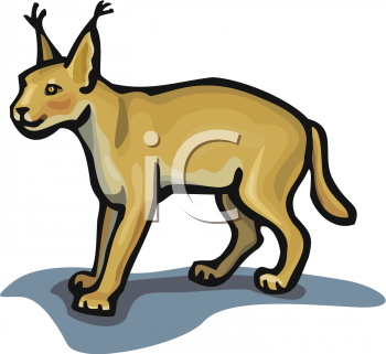 Pet Clipart