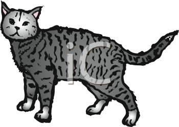 Pet Clipart