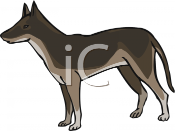 Pet Clipart