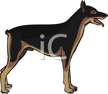 Pet Clipart