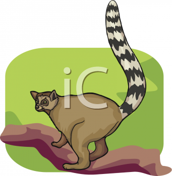Animal Clipart