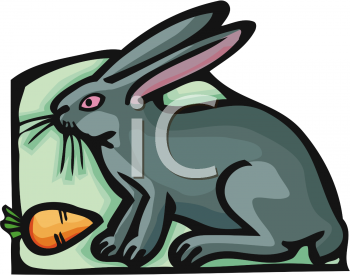 Pet Clipart