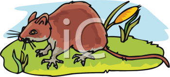 Rodent Clipart