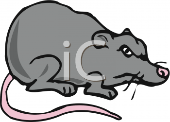 Rodent Clipart