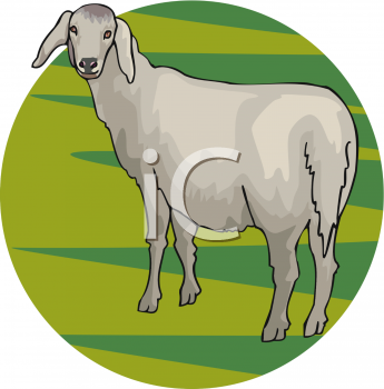 Farm Animal Clipart