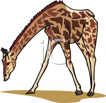 Animal Clipart
