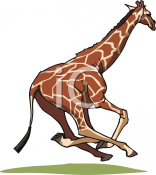 Animal Clipart