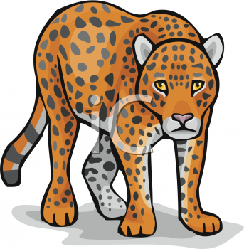 Pet Clipart