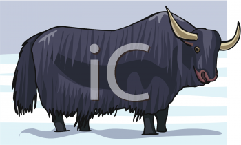 Mammal Clipart