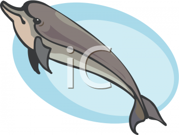 Fish and Sea Life Clipart