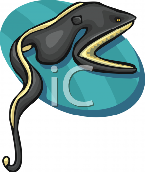 Fish and Sea Life Clipart