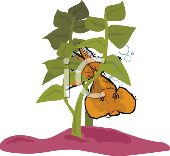 Farming Clipart