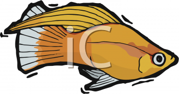 Fish and Sea Life Clipart