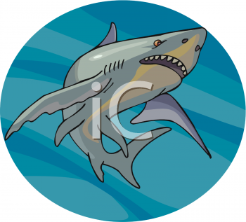 Fish and Sea Life Clipart
