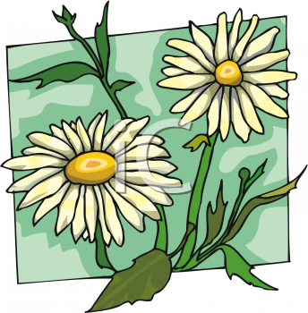 Daisy+flower+clip+art