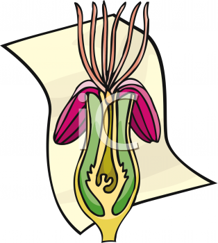 School Clipart