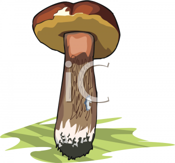 Nature and Scenic Clipart