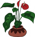 Bird Clipart