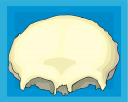 Science Clipart