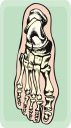 Science Clipart