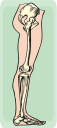 Science Clipart