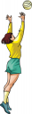 Sport Clipart