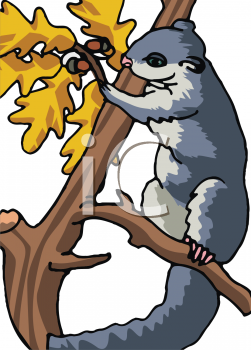 Rodent Clipart