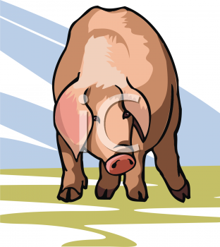 Farm Animal Clipart