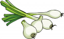 Food Clipart