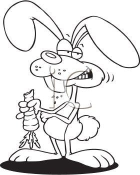 Pet Clipart