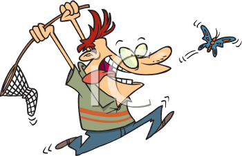 Insect Clipart