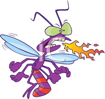 Insect Clipart