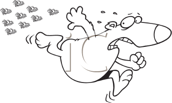 Insect Clipart