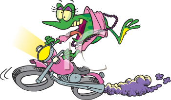 Amphibians Clipart