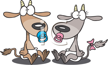 Farm Animal Clipart