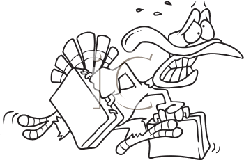 Bird Clipart
