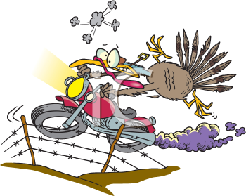 Bird Clipart