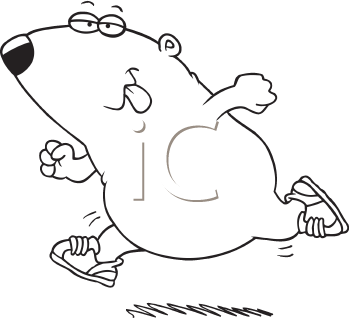 Pet Clipart