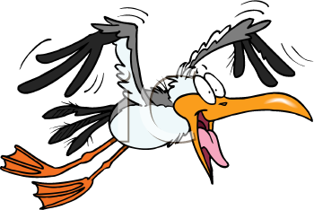 Insect Clipart