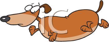Pet Clipart