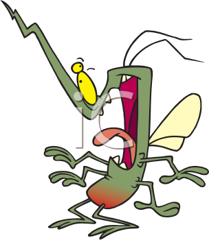 Insect Clipart