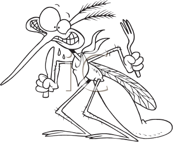 Insect Clipart