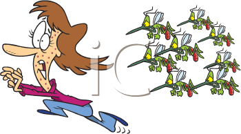 Insect Clipart