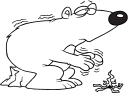 Bear Clipart
