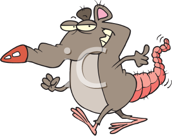 Rodent Clipart