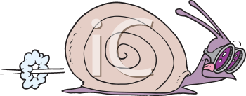 Insect Clipart